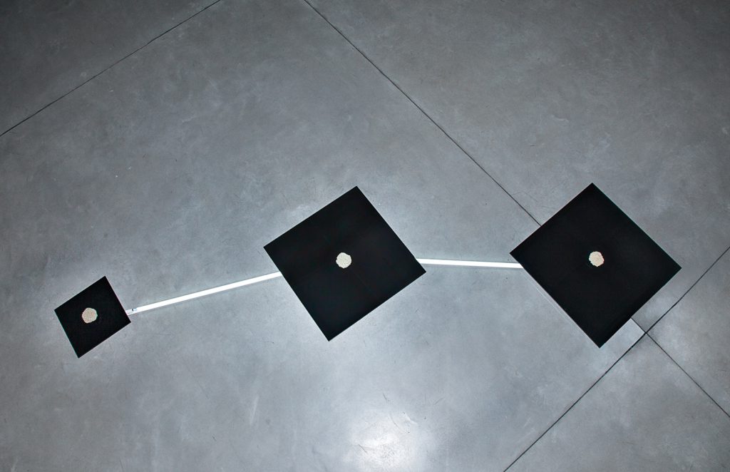 The Trinity Platform